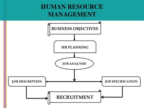 😍 Stages Of Human Resource Planning Process Steps In The Human