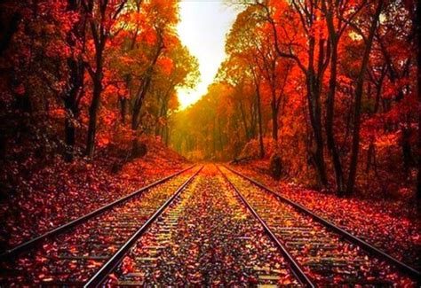 Autumn Leaves On The Rails Hd Wonderful Wallpaper