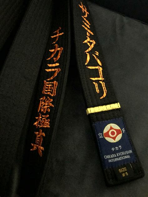 Karate Belts Explained Elite Martial Arts Richmond