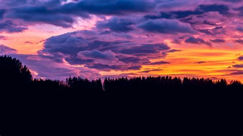 Sunset Clouds Forest 4k Hd Nature 4k Wallpapers Images Backgrounds