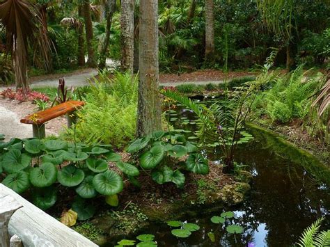 Why is this such a popular site among those with a green thumb? The 15 Best Botanical Gardens in Florida - ProFlowers Blog ...