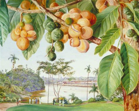 http://uploads7.wikiart.org/images/marianne-north/view-from-the-istana ...