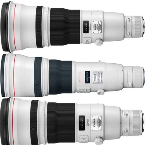Best Canon Lenses For Wildlife Photography Camera Times