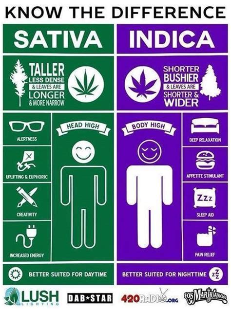 Has nothing to do with actually being indica or sativa. Indica vs. Sativa