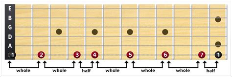 Guitar Major Scale Guide To Its Notes And Patterns