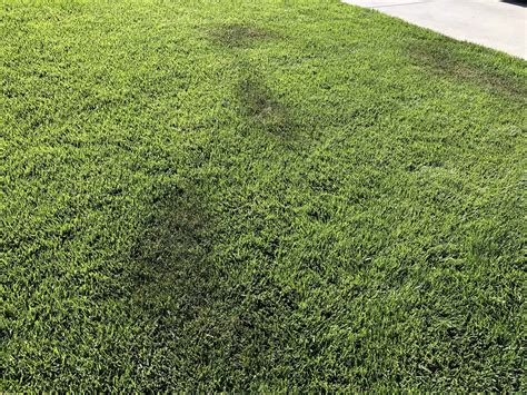 Weird Spots In Lawn Help Lawncare
