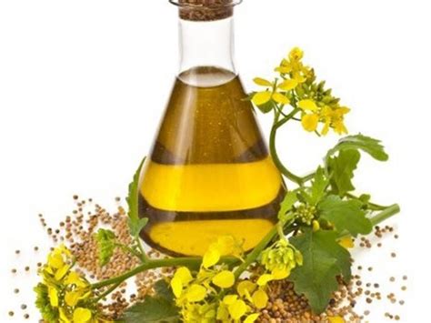 Canola oil makes lighter, crispier chicken i think. 10 Best Canola Oil Reviews 2018 | Organic Facts