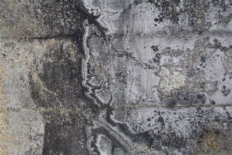 Free Photo Grunge Wall Texture Concrete Cracks Dirty