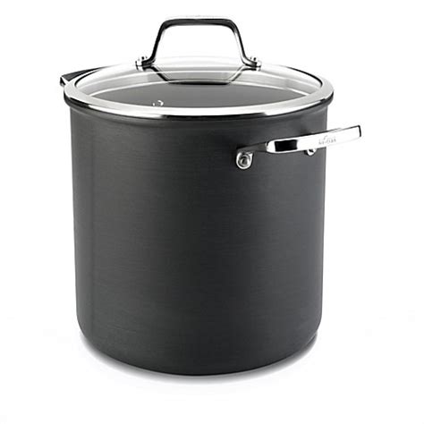 There are a substantial amount of bets being placed against these stocks have been under pressure for weeks now as money has rotated into recovery stocks. All-Clad B1 Hard Anodized Nonstick 8-Quart Stock Pot with Lid - Bed Bath & Beyond