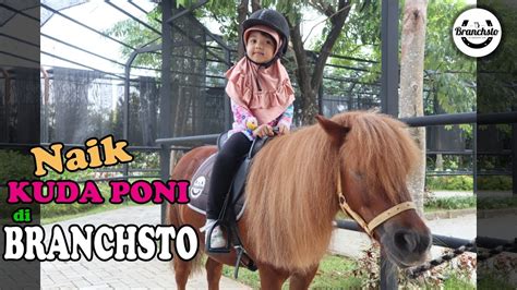 Gambar mewarnai kuda pony ini bisa didownload dengan gratis klik gambarnya dulu ya bunda untuk membuka gambar yang besar untuk bisa disimpan dan dicetak kemudian bisa diwarnai anak anak. Naik Kuda Poni Tapi Kudanya Poop! - BRANCHSTO Equestrian ...