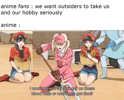 We Are Weebs Making Fun Of Other Weebs Rdankmemes