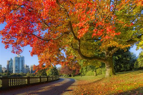 How To See Canadas Fall Foliage At Its Peak