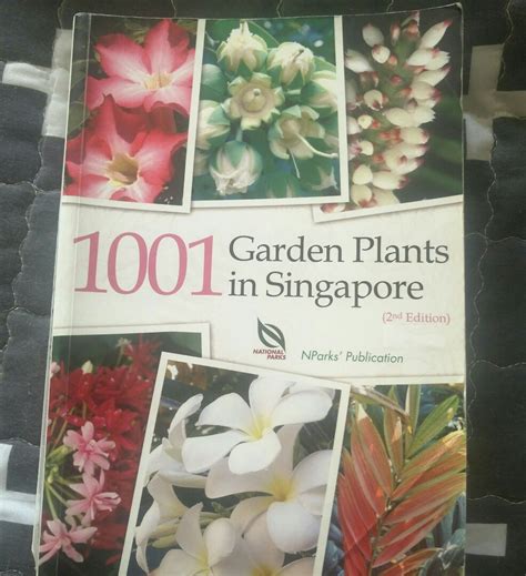 Diana's dracula this exotic species blooms vivid red orchid flowers, earning it a somewhat unfairly monstrous nickname. 1001 Garden Plants In Singapore Pdf