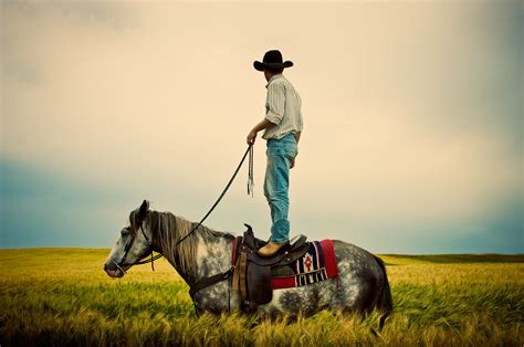 Cowboy Horse Nokota Cowboy Standing On Horse Field Western Life