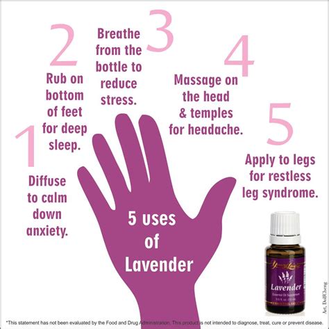 wellness the benefits of lavender essential oil candie anderson