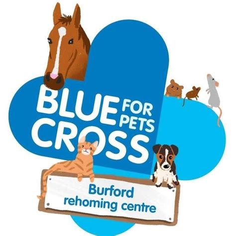 Blue Cross Rehoming Centre Burford Burford