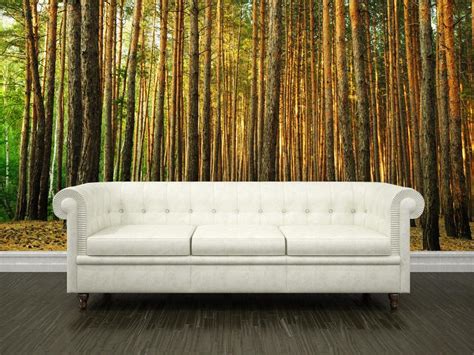 Pine Tree Forest Wall Mural Eazywallz
