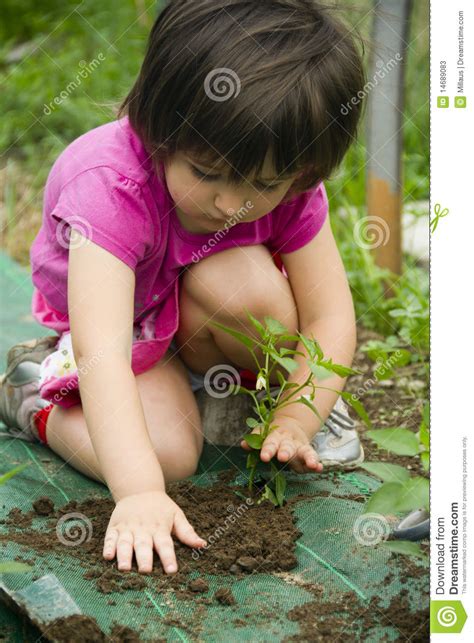 Girl Planting Seedling Stock Image Image Of Details 14689083