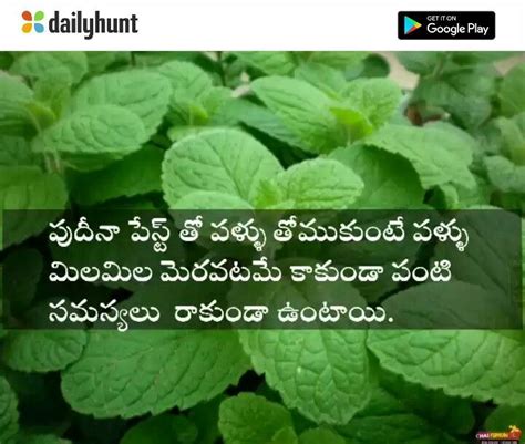 Pin By P Devendra On Telugu Healthy Sutra Health Remedies Health