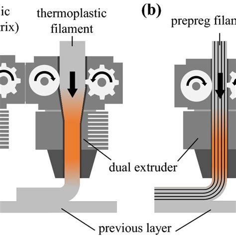 Schematic Representation Of The Approaches For The Insertion Of