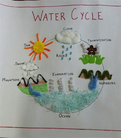 Water Cycle Craft Preschool Science Pinterest Water C