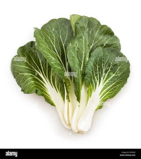Bok Choy Chinese Cabbage Leaves Isolated Stock Photo Royalty Free