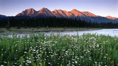 British Columbia Canada Wallpapers Wallpaper Cave