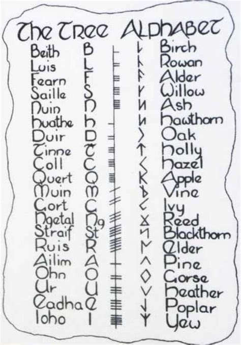Phù Thuỷ Cổ Ngữ Basic Của Phù Thuỷ Ogham Alphabet Celtic Symbols