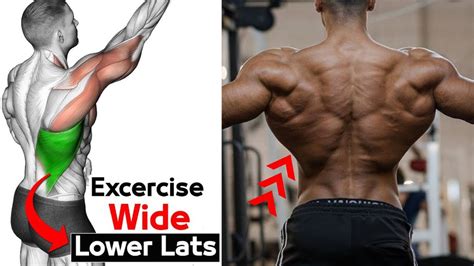 Best Exercise To Build Lower Lats V Taper Lower Lats Workout Youtube