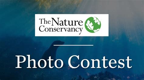 Call For Entries Photo Contest Calendar
