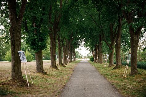 Obľúbenými cieľmi návštevníkov sú i kúpele v trenčianskych tepliciach, nimnici a bojniciach, rodný dom ľudovíta štúra v uhrovci, mohyla m. Mohyla M.R. Štefánika - Danubeislands.sk