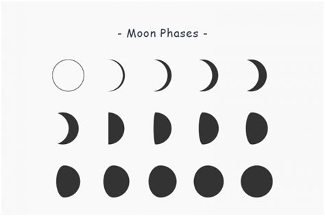 Free Moon Phases Cliparts Download Free Moon Phases Cliparts Png