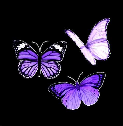 Aesthetic Purple Butterfly Wallpapers Wallpaper Cave 80c