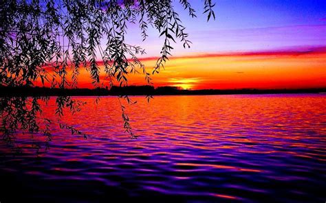Beautiful Shades Of Purple Sunset Sunset Sea Cool Pictures