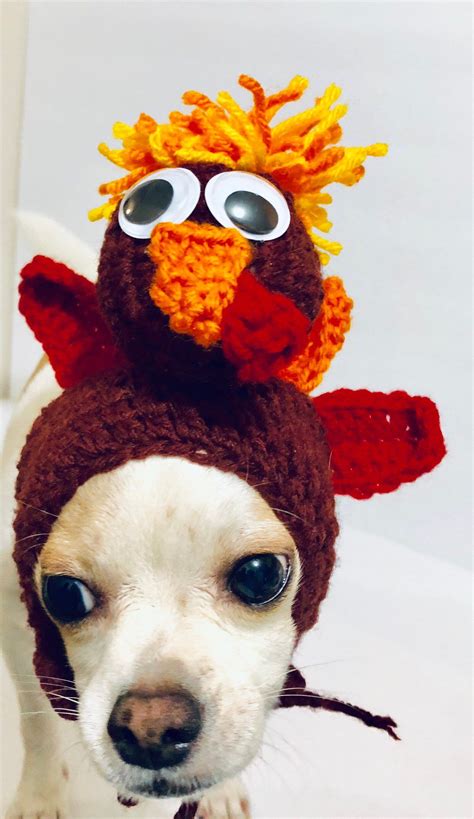 Excited To Share This Item From My Etsy Shop Turkey Dog Hat Crochet