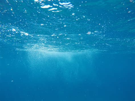 Fotos Gratis Mar Agua Oceano Ola Submarino Azul Burbuja