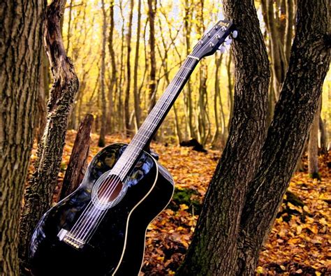 Check spelling or type a new query. Backwoods Wallpaper Download kuda