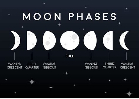 The 12 Week Sleep Cycle How Moon Phases Affect Your Sleep Update 2024