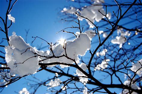 Sun Melting Snow Laura Pollack Flickr