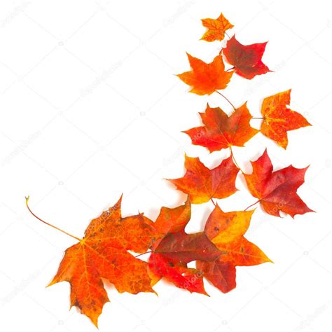 Autumn Maple Leaves — Stock Photo © Romantsubin 13284547