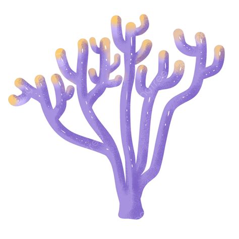 Purple Coral Clipart Transparent Png Hd Purple Coral Coral Marine