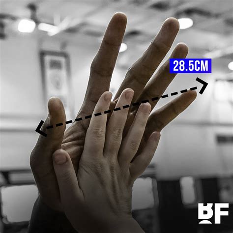 The others were lebron james, kevin durant, cedi osman, kawhi leonard's right hand and kawhi leonard's left hand. Measurement Kawhi Leonard Hands Size - Clătită Blog