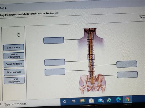 Solved Part A Drag The Appropriate Labels To Their Chegg