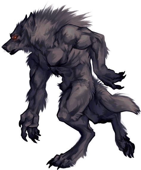 Sleepy Paladog On Twitter Werewolf Art Werewolf Drawing Mythical