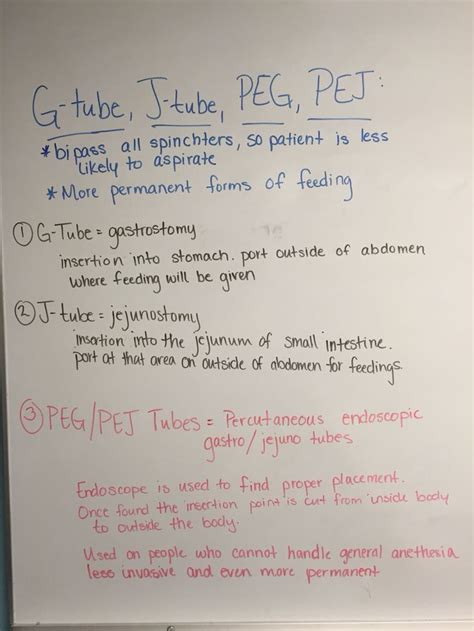 G Tube J Tube And Peg Tube Summary Nursing School Notes Pediatric