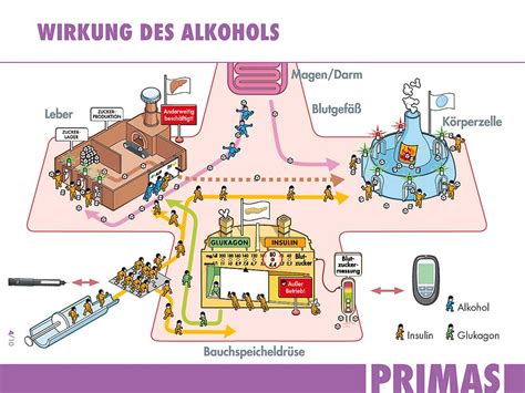 Insulin is a hormone that plays a central role in controlling blood sugar levels in the body. Hilfe zur Selbsthilfe bei Typ-1-Diabetes