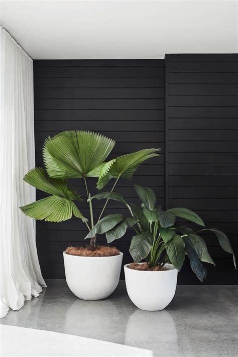 Potted Bliss: Indoor Plants 101 - Spring Nails | 1000 | Plant decor indoor, Best indoor hanging ...