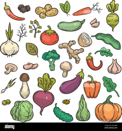 Sketch Vegetables Hand Drawn Color Vegetable Veggie Product Healthy
