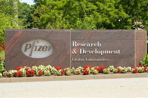 Pfizer afirma que su vacuna contra el Covid-19 es "eficaz ...