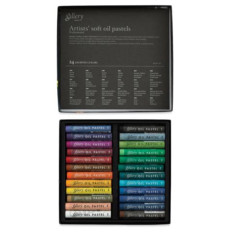 Mungyo Gallery Artists Soft Oil Pastels Set Of 24 Michaels